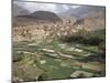 Traditional Jabali Village with Palmery in Basin in Jabal Akhdar, Bilad Sayt, Oman, Middle East-Tony Waltham-Mounted Photographic Print