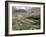 Traditional Jabali Village with Palmery in Basin in Jabal Akhdar, Bilad Sayt, Oman, Middle East-Tony Waltham-Framed Photographic Print