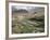 Traditional Jabali Village with Palmery in Basin in Jabal Akhdar, Bilad Sayt, Oman, Middle East-Tony Waltham-Framed Photographic Print