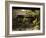 Traditional Japanese Garden, Tado Town, Mie Prefecture, Kansai, Honshu Island, Japan-Christian Kober-Framed Photographic Print