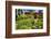 Traditional Japanese Pavilions In A Garden-George Oze-Framed Photographic Print