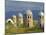 Traditional Kirghiz Cemetary, Near Burana Tower, Kyrgyzstan, Central Asia-Upperhall Ltd-Mounted Photographic Print