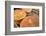Traditional Moroccan Bread, Meknes, Morocco, North Africa, Africa-Neil Farrin-Framed Photographic Print