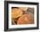 Traditional Moroccan Bread, Meknes, Morocco, North Africa, Africa-Neil Farrin-Framed Photographic Print