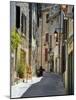 Traditional Old Stone Houses, Les Plus Beaux Villages De France, Menerbes, Provence, France, Europe-Peter Richardson-Mounted Photographic Print