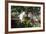 Traditional Open Air Market in the Historic Town of Cassis, Cote D'Azur, Provence, France, Europe-Martin Child-Framed Photographic Print