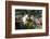 Traditional Open Air Market in the Historic Town of Cassis, Cote D'Azur, Provence, France, Europe-Martin Child-Framed Photographic Print