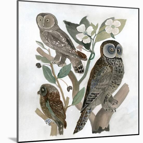 Traditional Owls II-Stellar Design Studio-Mounted Art Print