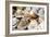 Traditional Panama hats for sale at a street market in Cartagena, Colombia, South America-Alex Treadway-Framed Photographic Print