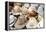 Traditional Panama hats for sale at a street market in Cartagena, Colombia, South America-Alex Treadway-Framed Premier Image Canvas