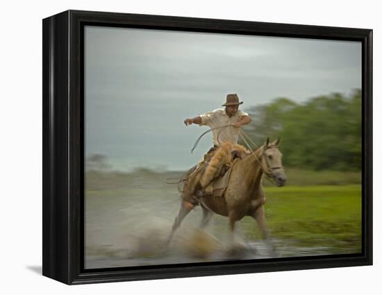 Traditional Pantanal Cowboys, Peao Pantaneiro, in Wetlands, Mato Grosso Do Sur Region, Brazil-Mark Hannaford-Framed Premier Image Canvas