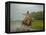 Traditional Pantanal Cowboys, Peao Pantaneiro, in Wetlands, Mato Grosso Do Sur Region, Brazil-Mark Hannaford-Framed Premier Image Canvas