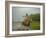 Traditional Pantanal Cowboys, Peao Pantaneiro, in Wetlands, Mato Grosso Do Sur Region, Brazil-Mark Hannaford-Framed Photographic Print