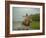 Traditional Pantanal Cowboys, Peao Pantaneiro, in Wetlands, Mato Grosso Do Sur Region, Brazil-Mark Hannaford-Framed Photographic Print