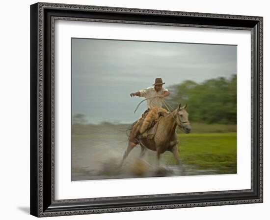 Traditional Pantanal Cowboys, Peao Pantaneiro, in Wetlands, Mato Grosso Do Sur Region, Brazil-Mark Hannaford-Framed Photographic Print