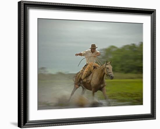 Traditional Pantanal Cowboys, Peao Pantaneiro, in Wetlands, Mato Grosso Do Sur Region, Brazil-Mark Hannaford-Framed Photographic Print