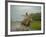 Traditional Pantanal Cowboys, Peao Pantaneiro, in Wetlands, Mato Grosso Do Sur Region, Brazil-Mark Hannaford-Framed Photographic Print