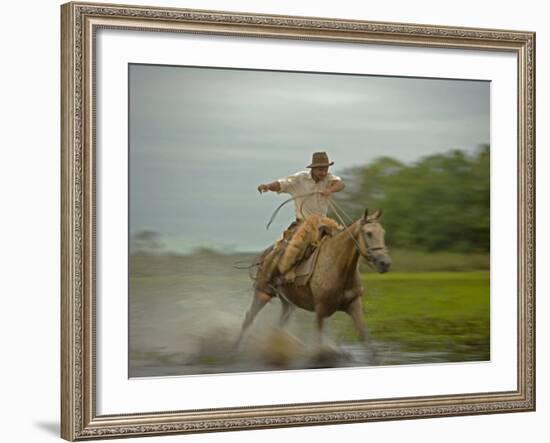 Traditional Pantanal Cowboys, Peao Pantaneiro, in Wetlands, Mato Grosso Do Sur Region, Brazil-Mark Hannaford-Framed Photographic Print