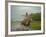 Traditional Pantanal Cowboys, Peao Pantaneiro, in Wetlands, Mato Grosso Do Sur Region, Brazil-Mark Hannaford-Framed Photographic Print