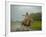 Traditional Pantanal Cowboys, Peao Pantaneiro, in Wetlands, Mato Grosso Do Sur Region, Brazil-Mark Hannaford-Framed Photographic Print