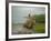 Traditional Pantanal Cowboys, Peao Pantaneiro, in Wetlands, Mato Grosso Do Sur Region, Brazil-Mark Hannaford-Framed Photographic Print