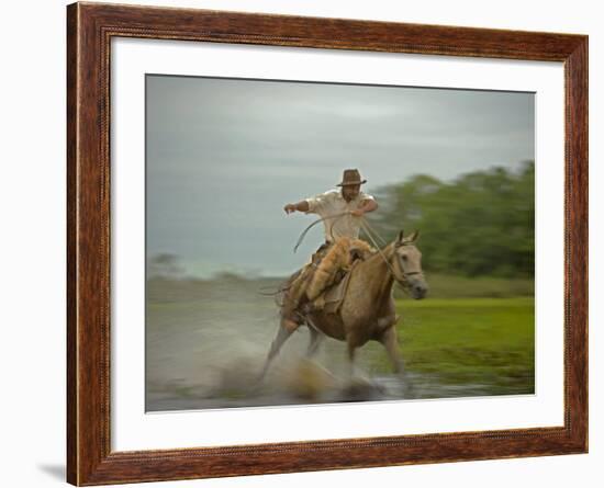 Traditional Pantanal Cowboys, Peao Pantaneiro, in Wetlands, Mato Grosso Do Sur Region, Brazil-Mark Hannaford-Framed Photographic Print