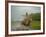 Traditional Pantanal Cowboys, Peao Pantaneiro, in Wetlands, Mato Grosso Do Sur Region, Brazil-Mark Hannaford-Framed Photographic Print