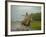 Traditional Pantanal Cowboys, Peao Pantaneiro, in Wetlands, Mato Grosso Do Sur Region, Brazil-Mark Hannaford-Framed Photographic Print