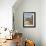 Traditional Portuguese Fishing Boats in a Small Coastal Harbour, Beja District, Portugal-Neale Clarke-Framed Photographic Print displayed on a wall