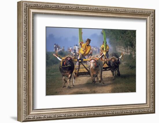 Traditional Racing With Water Buffalo Chariots, Bali, Indonesia-John Downer-Framed Photographic Print