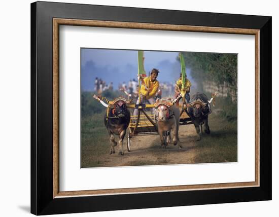 Traditional Racing With Water Buffalo Chariots, Bali, Indonesia-John Downer-Framed Photographic Print