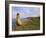 Traditional Reed Boat Uros Island, Flotantes, Lake Titicaca, Peru, South America-Simon Montgomery-Framed Photographic Print