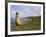 Traditional Reed Boat Uros Island, Flotantes, Lake Titicaca, Peru, South America-Simon Montgomery-Framed Photographic Print