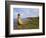 Traditional Reed Boat Uros Island, Flotantes, Lake Titicaca, Peru, South America-Simon Montgomery-Framed Photographic Print