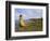 Traditional Reed Boat Uros Island, Flotantes, Lake Titicaca, Peru, South America-Simon Montgomery-Framed Photographic Print