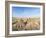 Traditional Reed Stack in the Hungarian Puszta, Hortobagy, UNESCO World Heritage. Hungary-Martin Zwick-Framed Photographic Print