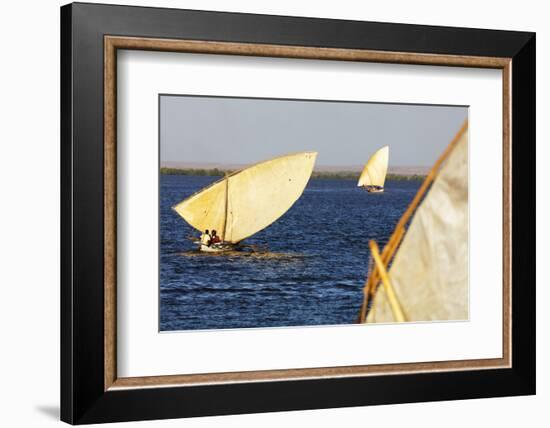 Traditional sail boats, Majunga (Mahajanga), western area, Madagascar, Africa-Christian Kober-Framed Photographic Print