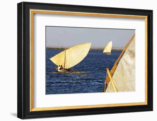 Traditional sail boats, Majunga (Mahajanga), western area, Madagascar, Africa-Christian Kober-Framed Photographic Print