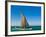 Traditional Sailing Boat in Waters of the Banc D'Arguin, Mauritania, Africa-Michael Runkel-Framed Photographic Print
