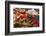 Traditional Sausages for Sale in an Open Air Market in the Historic Town of Cassis, France-Martin Child-Framed Photographic Print