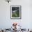 Traditional Small Bhutanese House with Smoke Coming from Roof from Open Fire Inside, Near Trongsa, -Lee Frost-Framed Photographic Print displayed on a wall