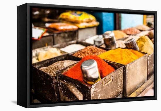 Traditional Spices Market in India.-Curioso Travel Photography-Framed Premier Image Canvas