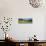 Traditional stone barn in yellow buttercup meadow in Swaledale, Gunnerside-Stuart Black-Photographic Print displayed on a wall