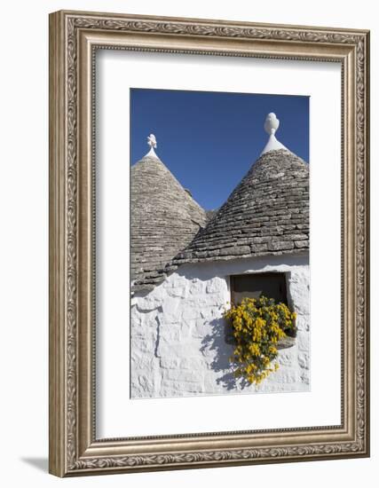 Traditional Trullos (Trulli) in Alberobello, UNESCO World Heritage Site, Puglia, Italy, Europe-Martin-Framed Photographic Print