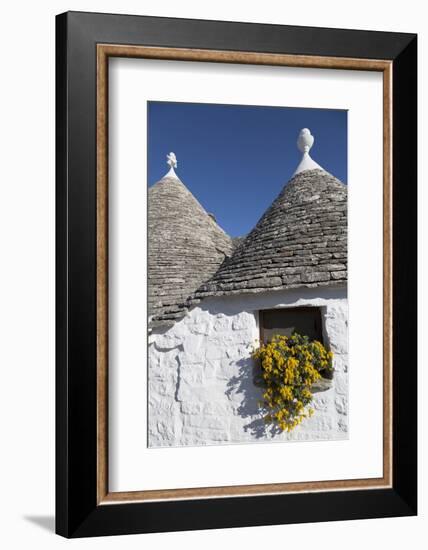 Traditional Trullos (Trulli) in Alberobello, UNESCO World Heritage Site, Puglia, Italy, Europe-Martin-Framed Photographic Print