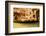 Traditional Venice Gondola Ride-NejroN Photo-Framed Photographic Print