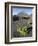 Traditional viniculture in the Cha de Caldeiras,. Stratovolcano mount Pico do Fogo. Fogo Island-Martin Zwick-Framed Photographic Print