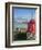 Traditional Windmill, Faial Island, Azores, Portugal-Alan Copson-Framed Photographic Print