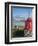 Traditional Windmill, Faial Island, Azores, Portugal-Alan Copson-Framed Photographic Print