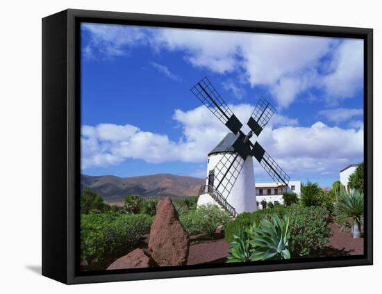 Traditional Windmill Near Antigua, Fuerteventura, Canary Islands, Spain, Europe-Nigel Francis-Framed Premier Image Canvas